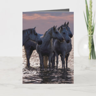 Carte de voeux Cheval - Quatre Chevaux au coucher 