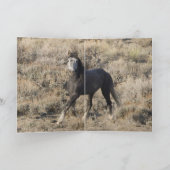Carte de voeux Cheval Sauvage (Intérieur)
