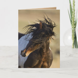 Carte de voeux Cheval sauvage Shake Head