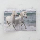 Carte de voeux Cheval - Sea Horse Twins (Intérieur)