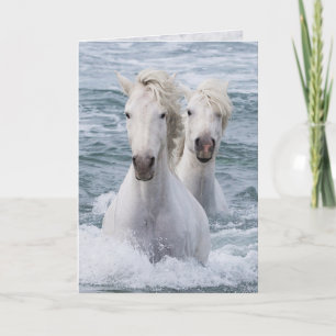 Carte de voeux Cheval - Sea Horse Twins