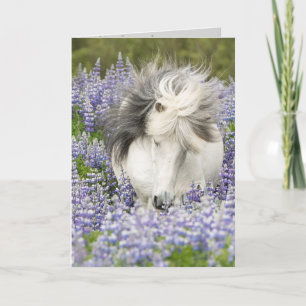 Carte de voeux Cheval Shy Lupine Mare