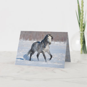 Carte de voeux Cheval - Stallion gris neigeux appl