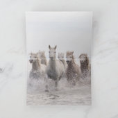 Carte de voeux Cheval - Trois Chevaux blancs éclab (Intérieur)