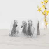 Carte de voeux Cheval - Trois Chevaux blancs éclab (Fleur jaune)