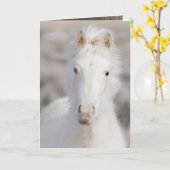 Carte de voeux Cheval Wild Colt neige (Fleur jaune)
