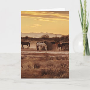 Carte de vœux Chevaux sauvages – Cheval au coucher