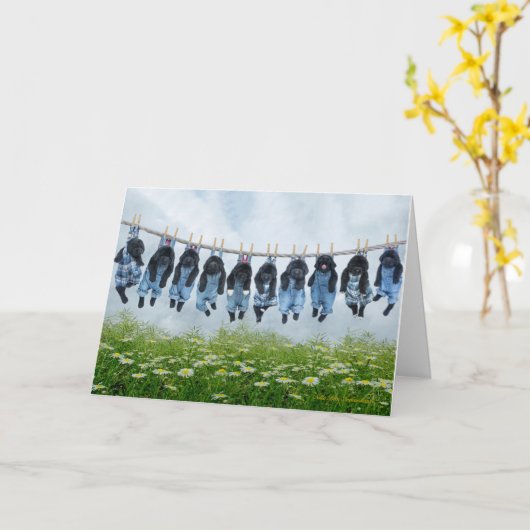 carte de voeux chien courage (Fleur jaune)