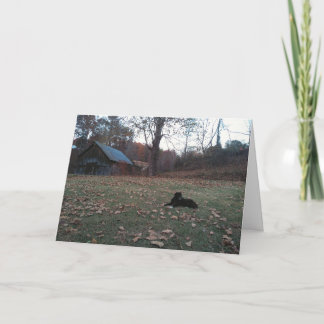 Carte de vœux Chien noir par grange d'automne