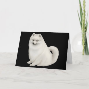 Carte de voeux Chien Poméranie Blanche