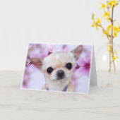 Carte de voeux Chihuahua (Fleur jaune)