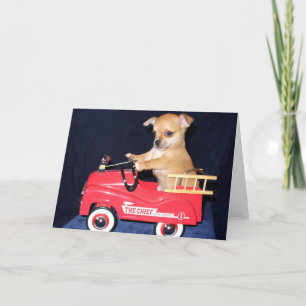 Carte de voeux chihuahua chippy