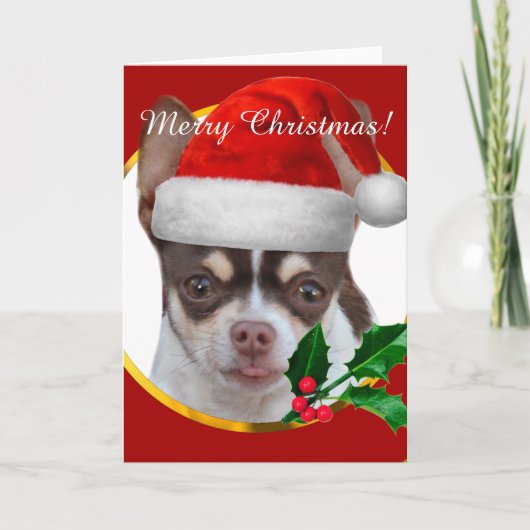 Carte de voeux Chihuahua de Noël (Devant)