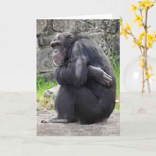 Carte de voeux Chimpanzé (Fleur jaune)