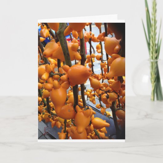 Carte de voeux chinoise de nouvelle année. Graisse (Devant)