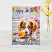 Carte de vœux chiot Cavalier King Charles (Fleur jaune)