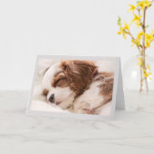 Carte de voeux - Chiot couché (Fleur jaune)