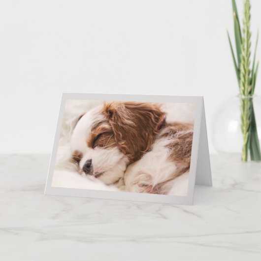 Carte de voeux - Chiot couché (Devant)