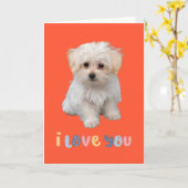 Carte de vœux chiot mignon, je t'aime, carte de vœ (Fleur jaune)