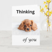 Carte de vœux chiot mignon, pensée pour toi, chien (Fleur jaune)