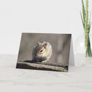 Carte de voeux Chipmunk