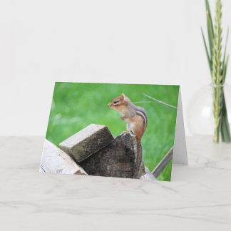 Carte de voeux Chipmunk