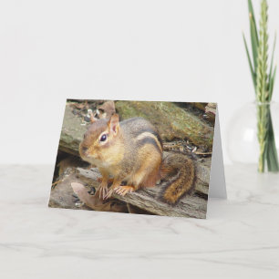 Carte de voeux Chipmunk 2
