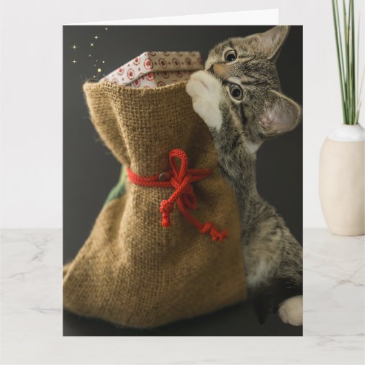Carte de vœux CHRISTMAS CUTE CAT SURPRISES (Devant)
