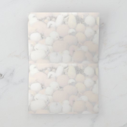 Carte de voeux citrouille (Intérieur)