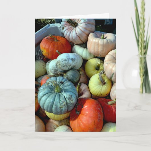 Carte de voeux citrouille colorée (Devant)