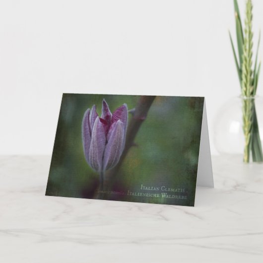 Carte de voeux Clematis italienne (Devant)