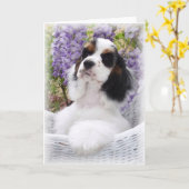 Carte de voeux Cocker Spaniel (Fleur jaune)