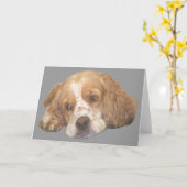 Carte de voeux Cocker Spaniel Freckles (Fleur jaune)