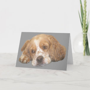 Carte de voeux Cocker Spaniel Freckles