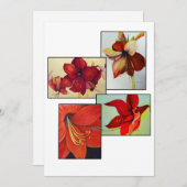 Carte de voeux Collage Amaryllis (Devant / Derrière)