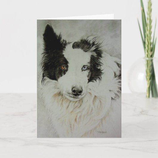 Carte de voeux Collie/Aussie (Devant)