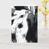 Carte de voeux Collie barrée (Fleur jaune)