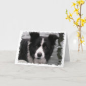 Carte de voeux Collie Bordure (Fleur jaune)