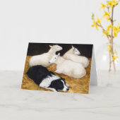 Carte de voeux "Collie et moutons frontaliers" Chi (Fleur jaune)