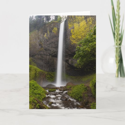 Carte de voeux Columbia River Gorge Latourell Fall (Devant)
