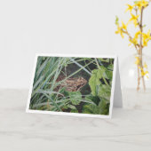 carte de voeux commune de grenouille (Fleur jaune)