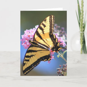 Carte de voeux comportant le papillon jaune