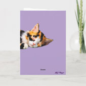 Carte de vœux cône de chat calicot mignon (Dos)