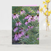 Carte de voeux - Coneflowers (Fleur jaune)