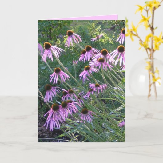 Carte de voeux - Coneflowers (Fleur jaune)