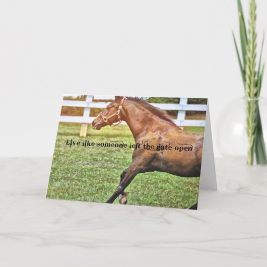 Carte de voeux CONNEMARA SPECIAL (Devant)