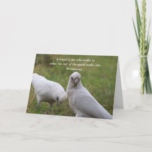 Carte de voeux Corella Friendship Quote (Devant)