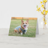 Carte de voeux Corgi (Fleur jaune)