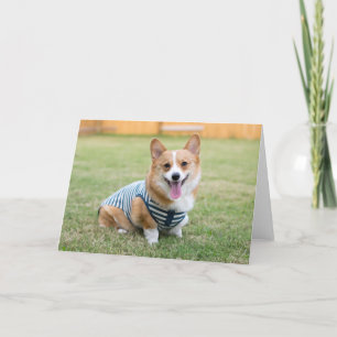 Carte de voeux Corgi