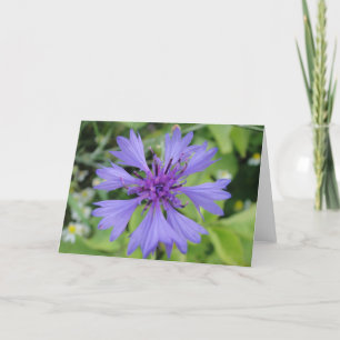 Carte de voeux Cornflower bleue, façonnable en bla